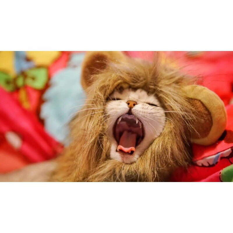 Pet Head Cap Lion Costume For Cats