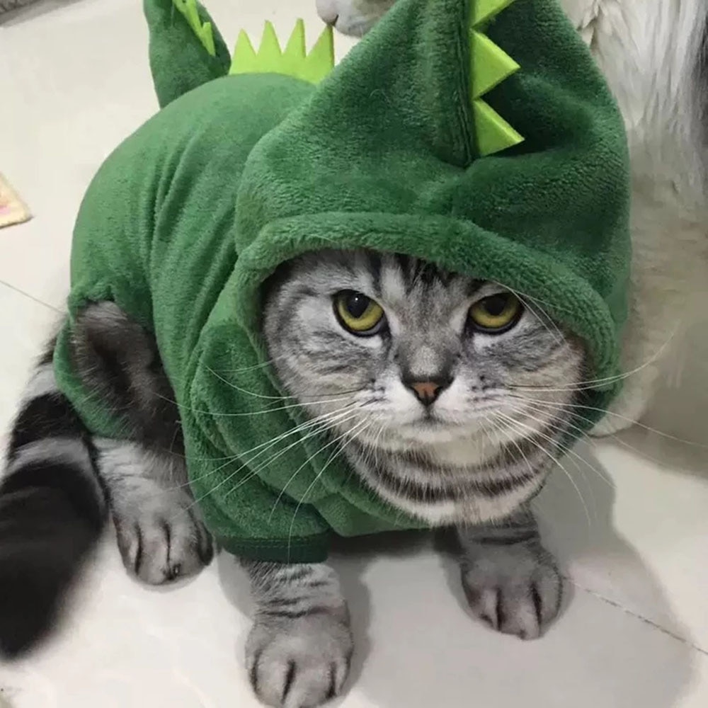 Cat Dinosaur Costume Pet Clothing