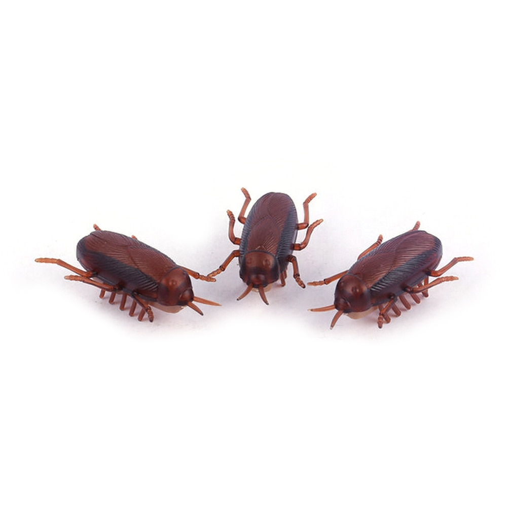 Cockroach Toy Battery-Operated Running Roach