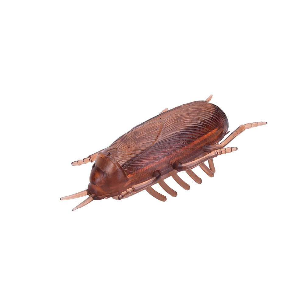 Cockroach Toy Battery-Operated Running Roach