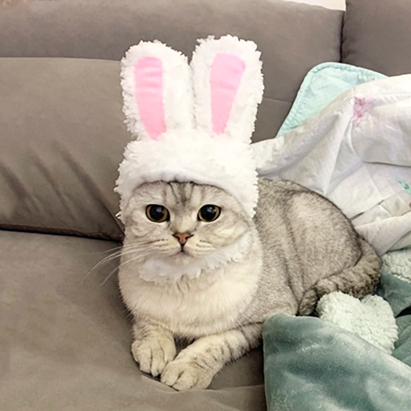 Cat Bunny Ears Pet Headwear