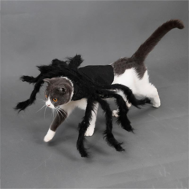 Cat Spider Costume Pet Halloween Suit