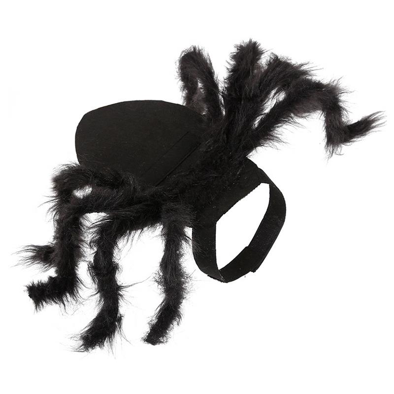 Cat Spider Costume Pet Halloween Suit