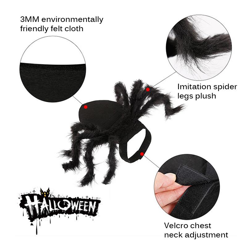 Cat Spider Costume Pet Halloween Suit