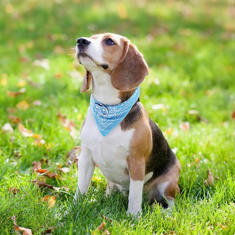 Bandana Collar Dog Scarf Accessory