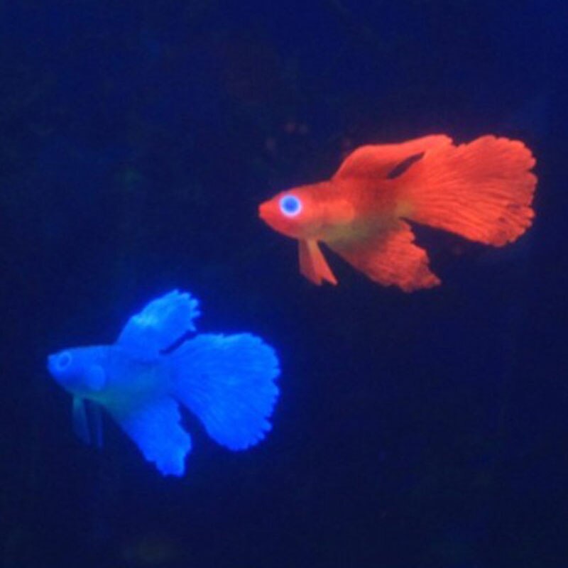 Artificial Fish Silicone Aquarium Decor