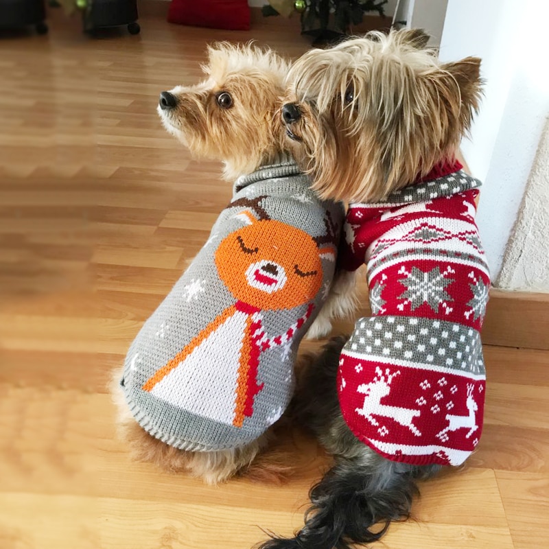 Dog Christmas Sweater Crochet Costume