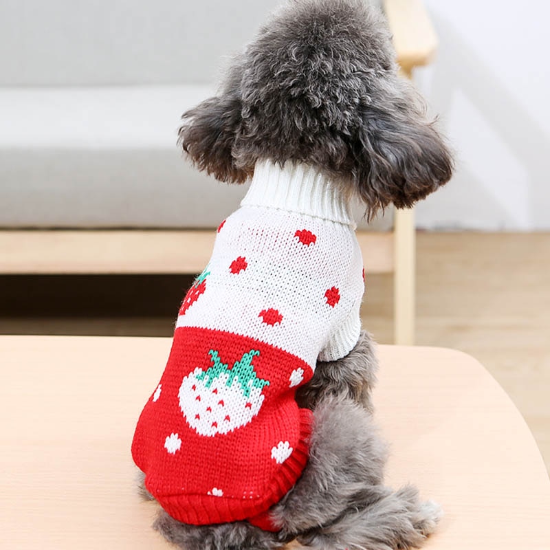 Dog Christmas Sweater Crochet Costume