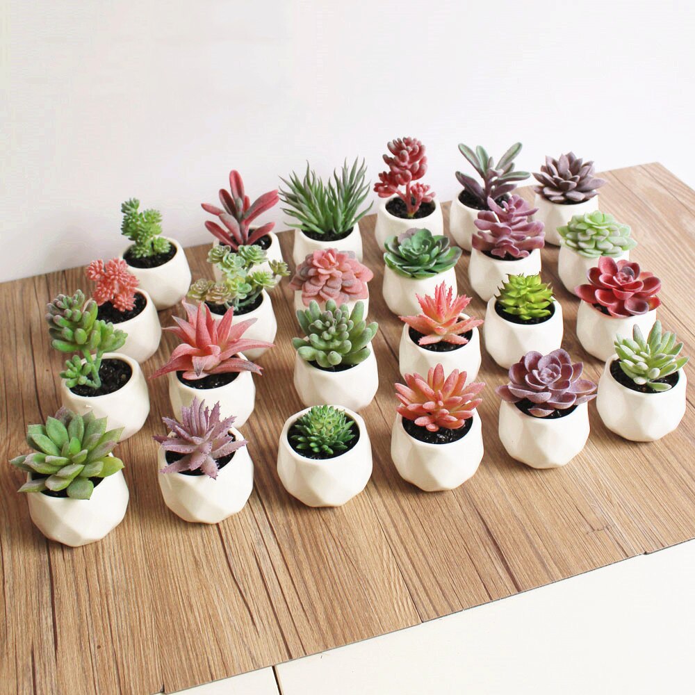 Mini Fake Plants Artificial Succulents