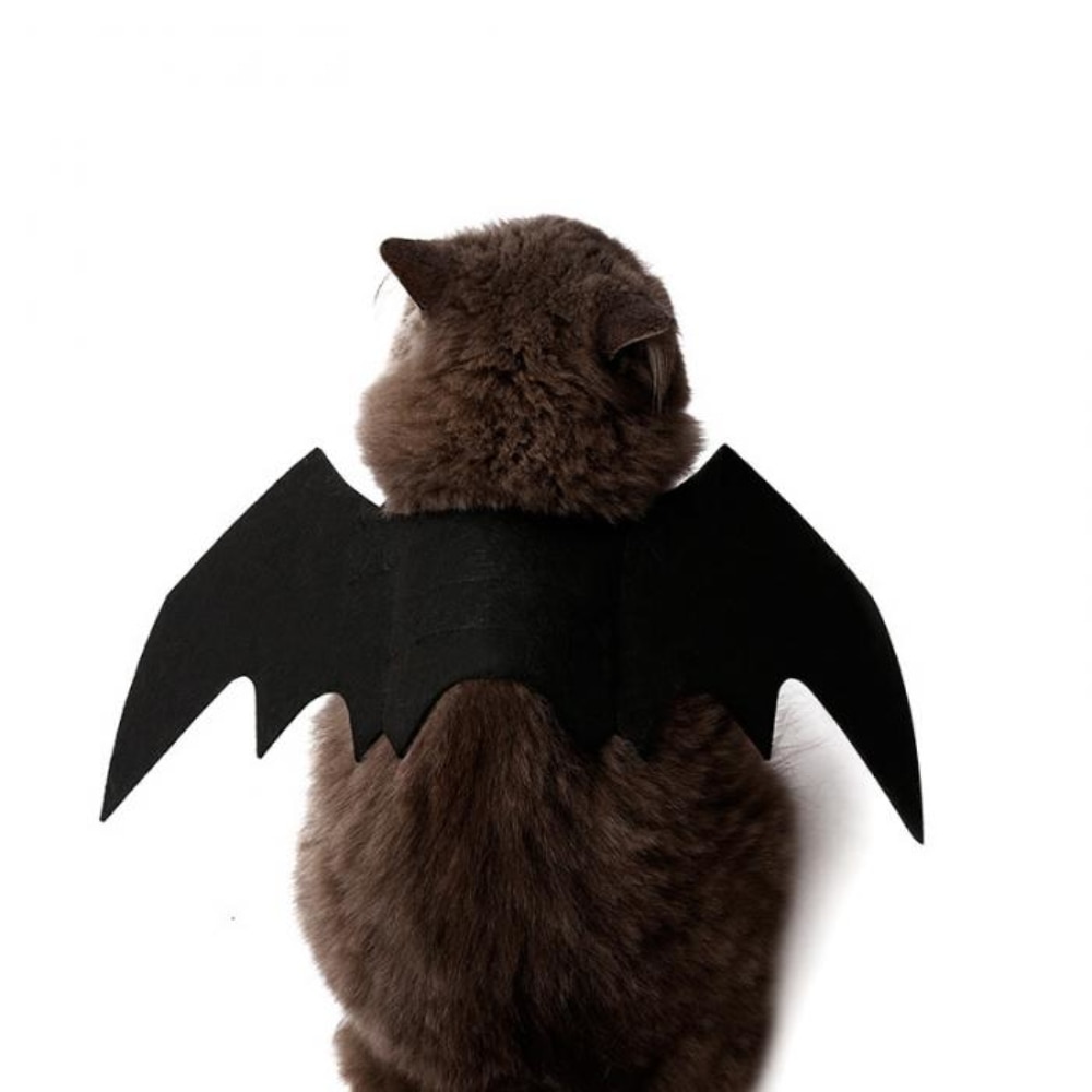 Cat Bat Wings Pet Costume