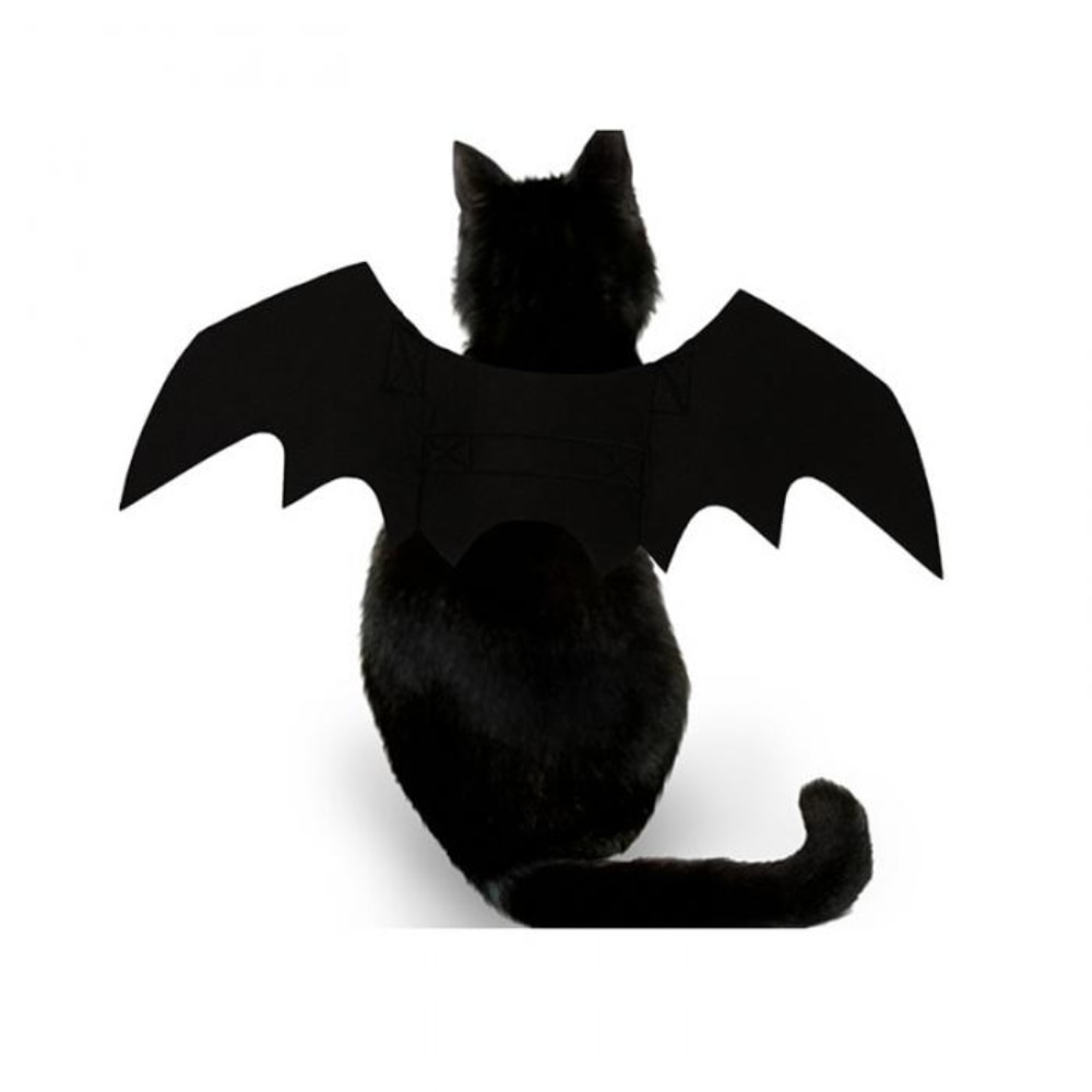 Cat Bat Wings Pet Costume