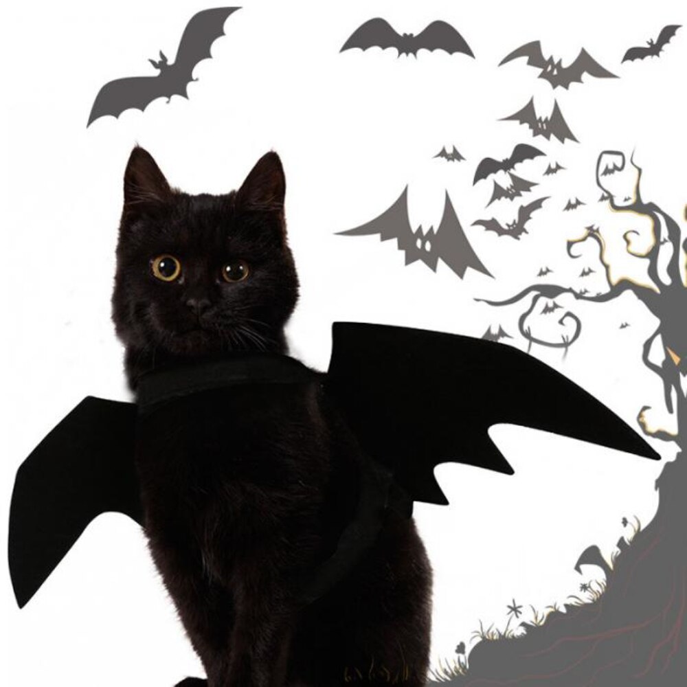 Cat Bat Wings Pet Costume