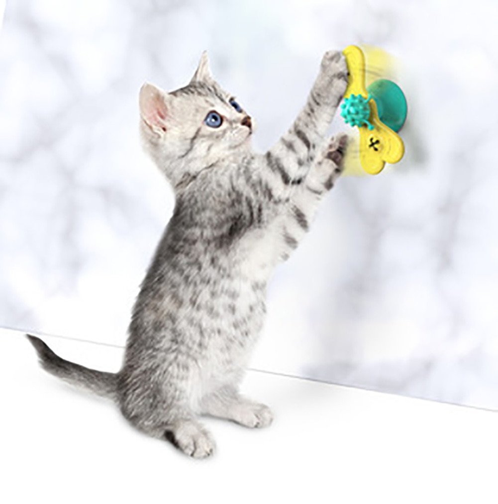 Windmill Cat Toy Multi-Functional Toy