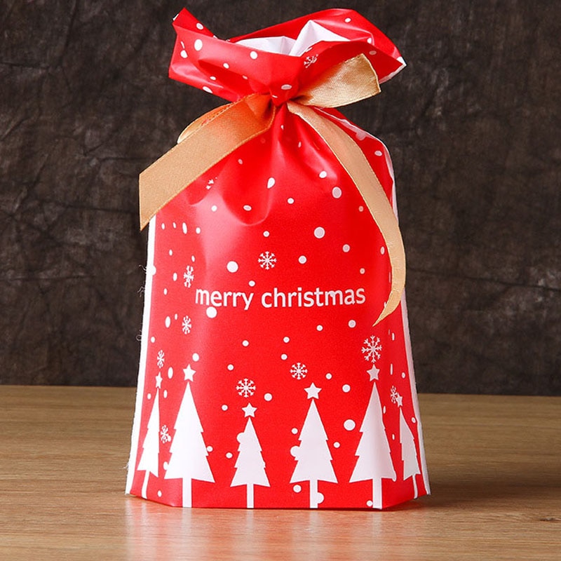 Christmas Goodie Bags with Ribbon