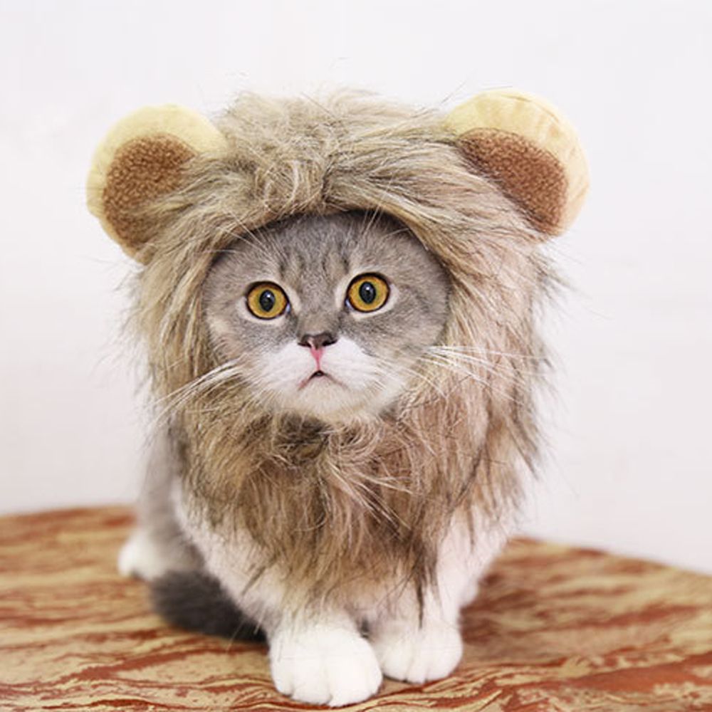 Lion’s Mane for Cats Cute Wig