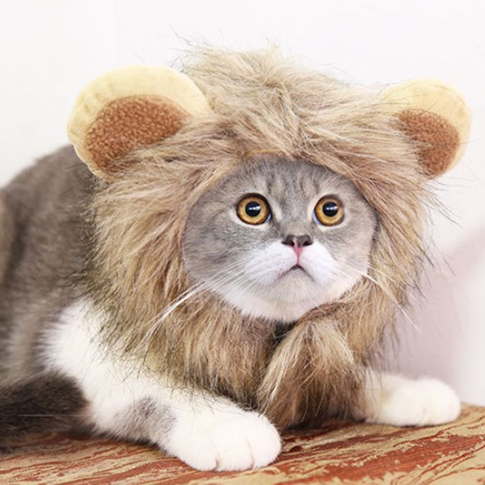 Lion’s Mane for Cats Cute Wig