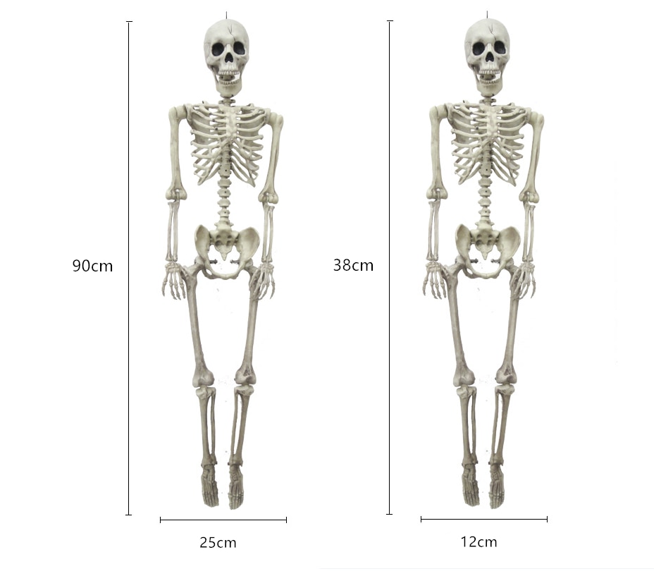 Halloween Skeleton Decoration Party Prop