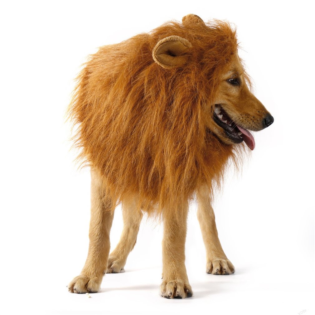 Dog Lion Mane Pet Wig Headwear