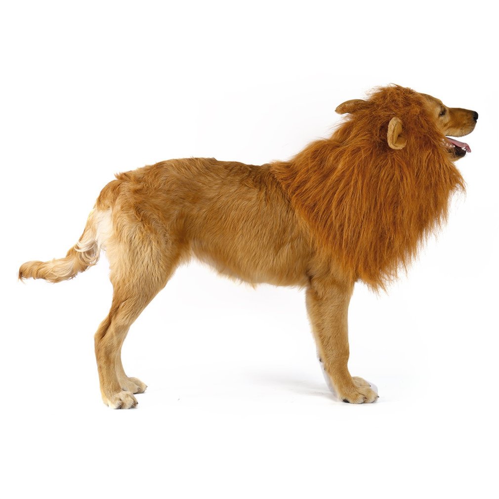 Dog Lion Mane Pet Wig Headwear