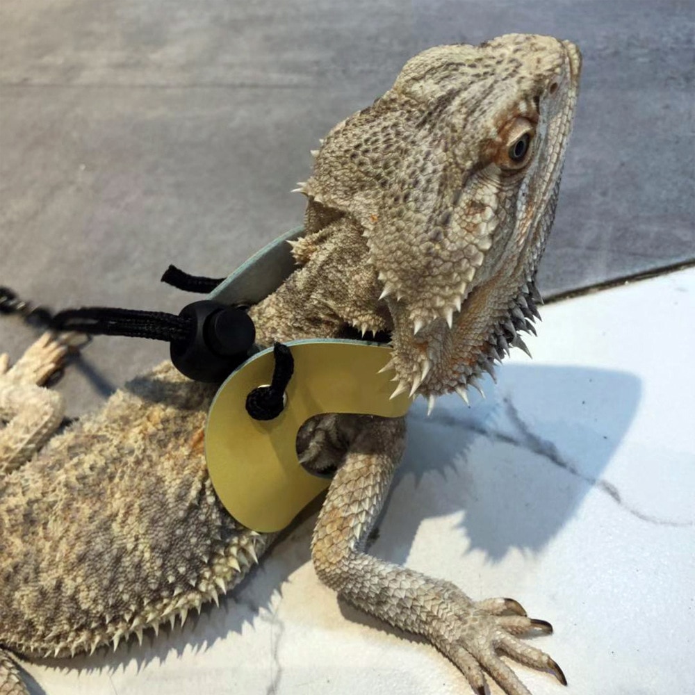 Lizard Leash Adjustable Reptile Harness