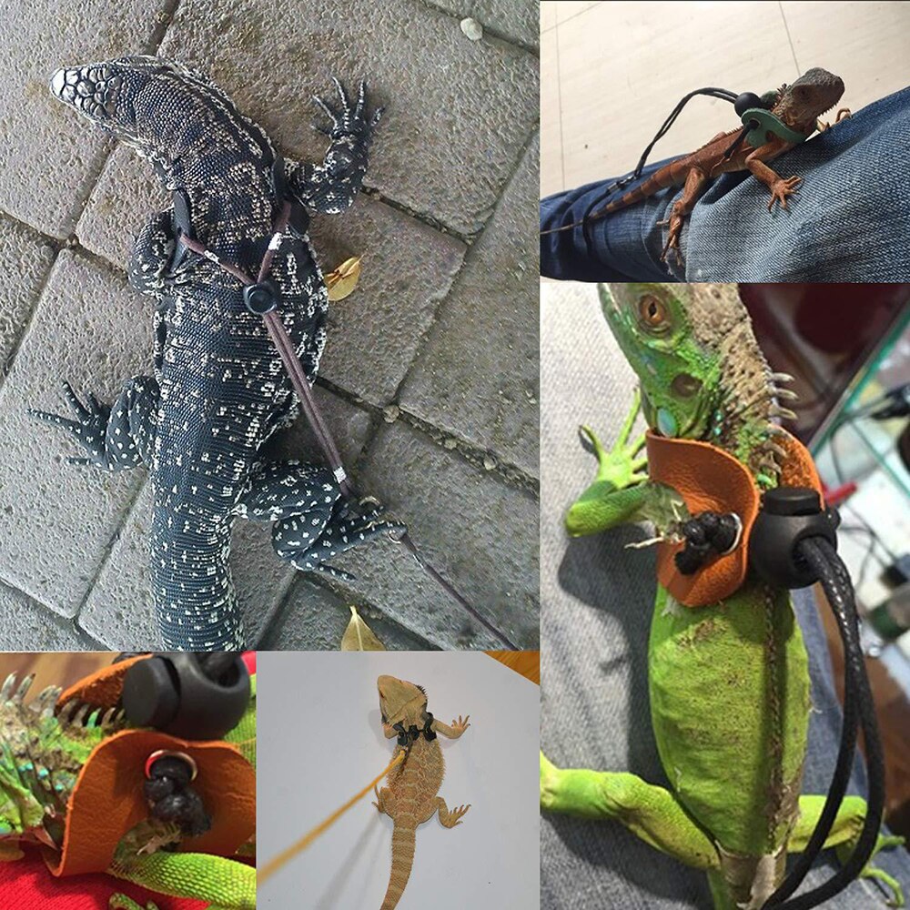 Lizard Leash Adjustable Reptile Harness