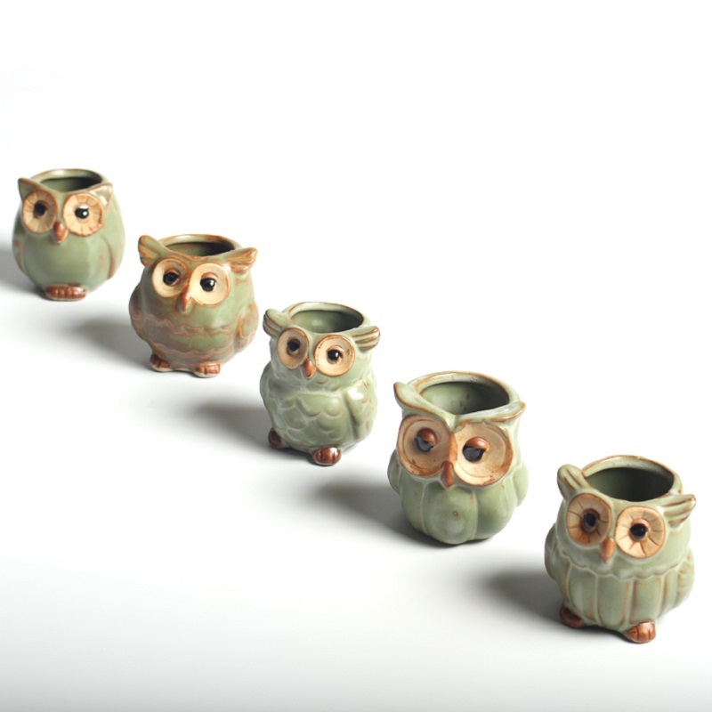 Cute Succulent Pots Owl Design (5 pcs)