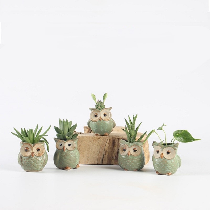 Cute Succulent Pots Owl Design (5 pcs)