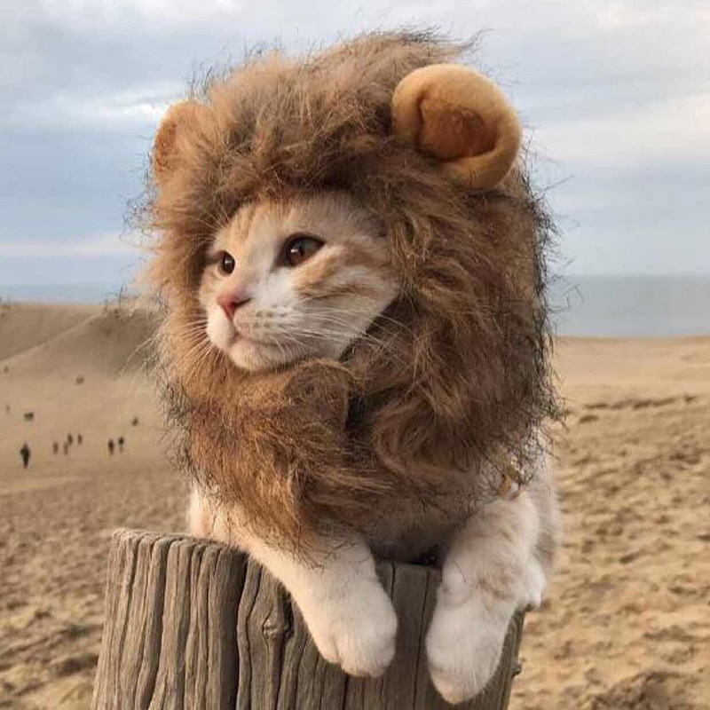 Cat Lion Costume Pet Funny Headgear