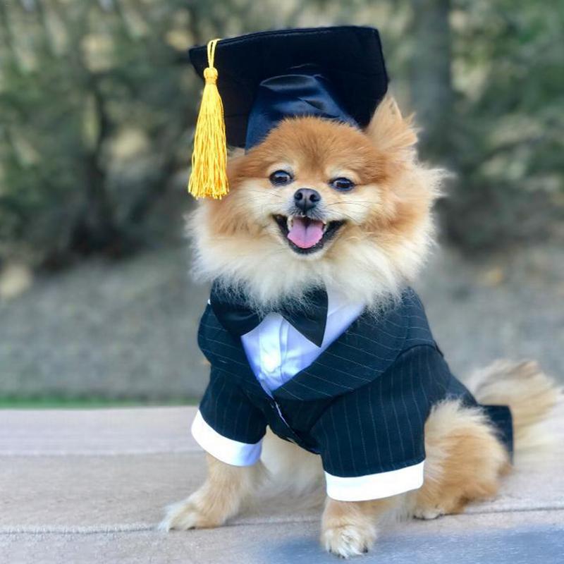 Dog Graduation Cap Pet Costume