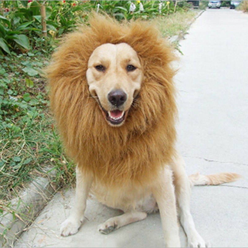 Dog Lion Costume Pet Accessory