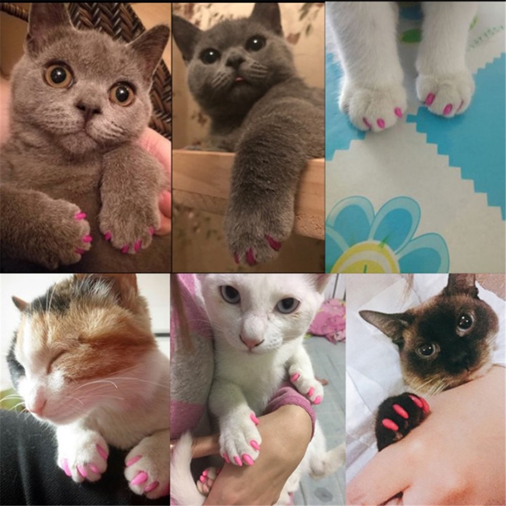 Cat Nail Covers Pet Paws Caps