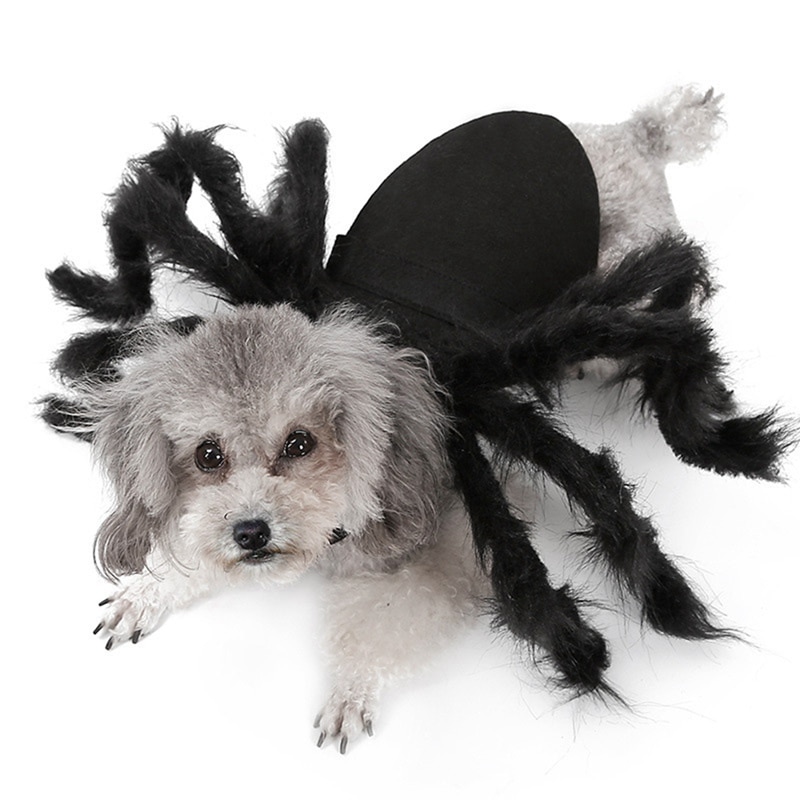 Dog Spider Costume Pet Accessory