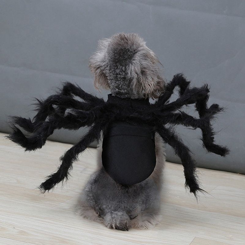 Dog Spider Costume Pet Accessory