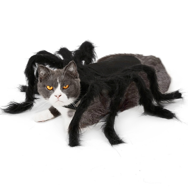 Dog Spider Costume Pet Accessory