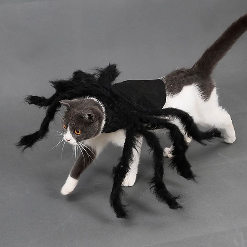 Dog Spider Costume Pet Accessory