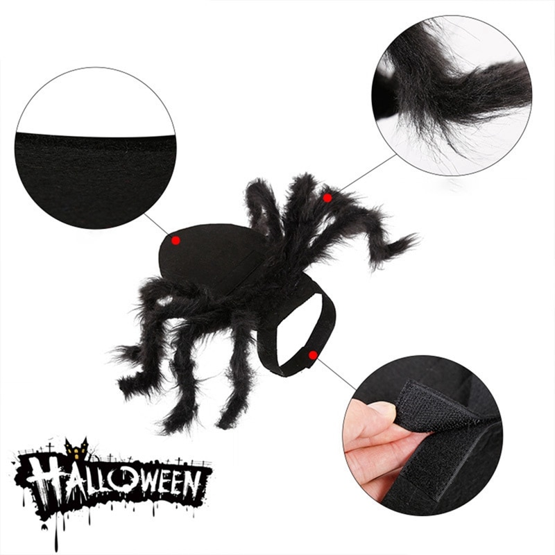 Dog Spider Costume Pet Accessory