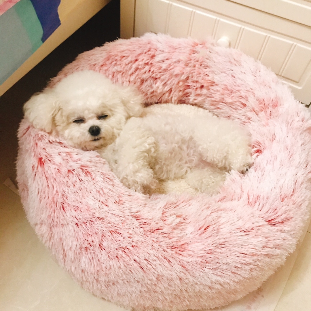 Fluffy Dog Bed Soft Pet Sofa