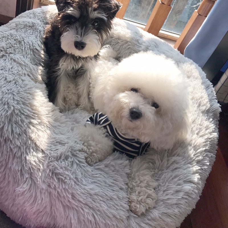 Fluffy Dog Bed Soft Pet Sofa