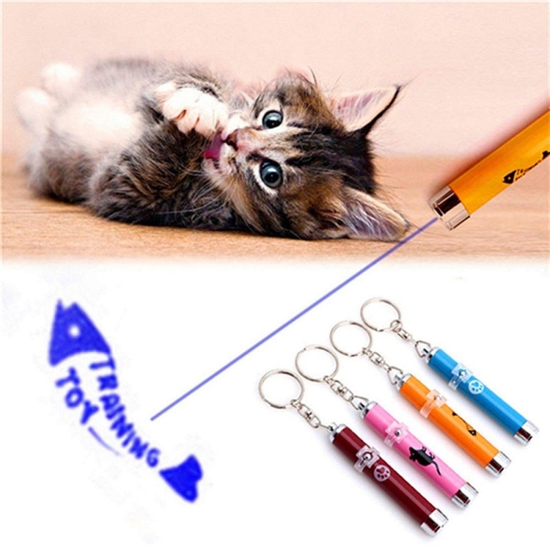 Cat Laser Pointer Pet Accessory