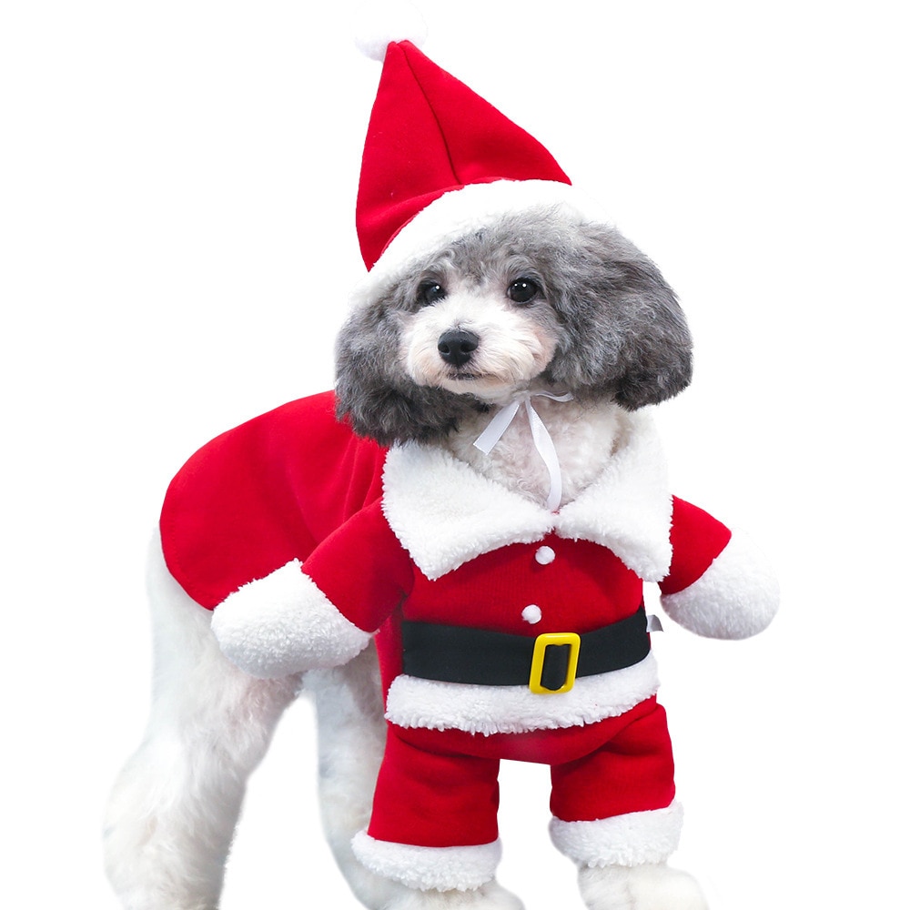 Dog Christmas Costume with Hat