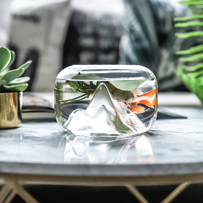 Goldfish Bowl with Mini Landscape