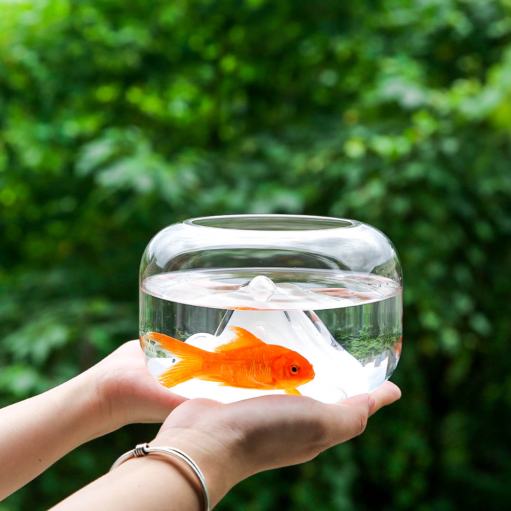 Goldfish Bowl with Mini Landscape