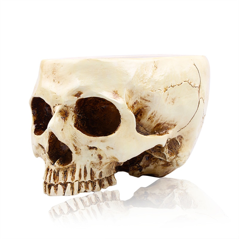 Skull Decor Resin Sculpture