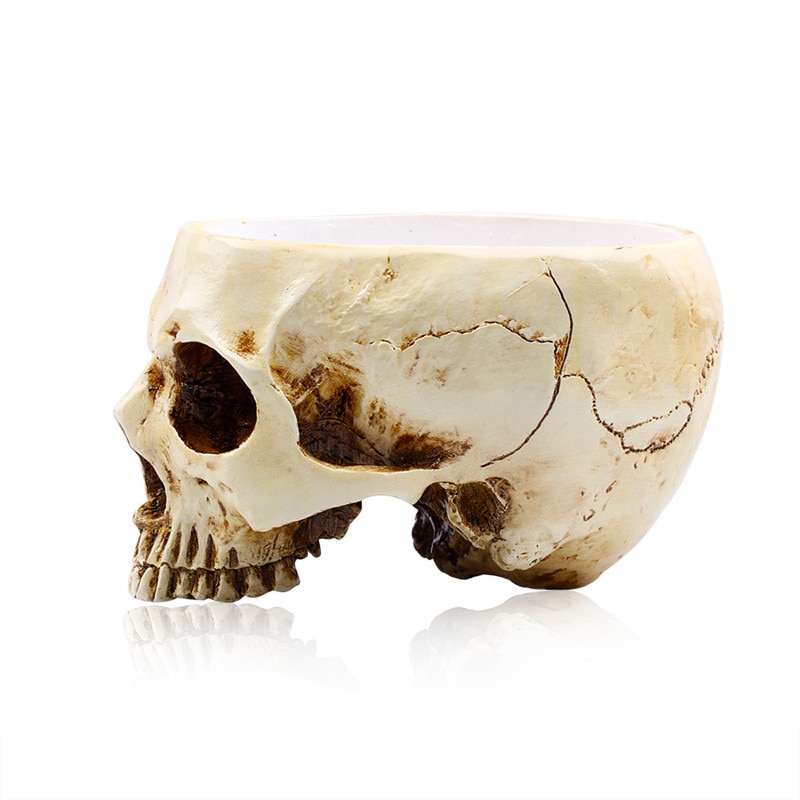 Skull Decor Resin Sculpture