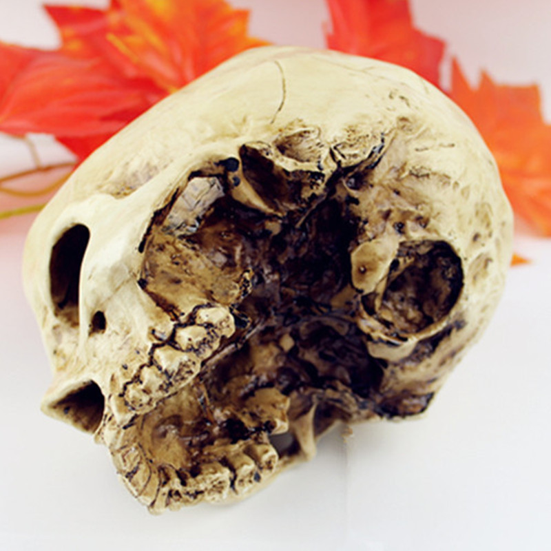 Skull Decor Resin Sculpture