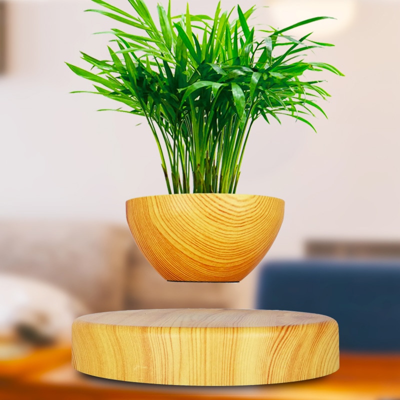 Decorative Plants Magnetic Levitation