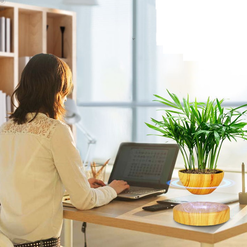 Decorative Plants Magnetic Levitation