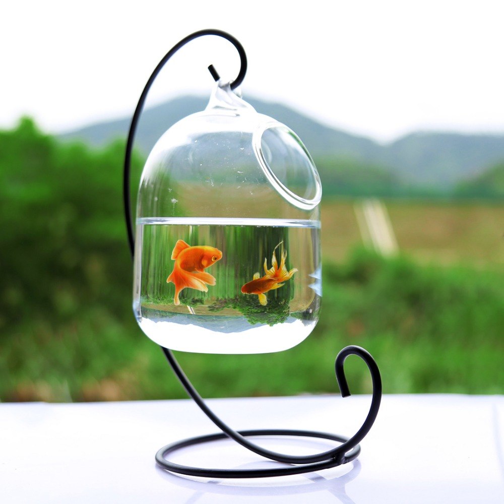 Hanging Glass Fish Bowl Home Decor