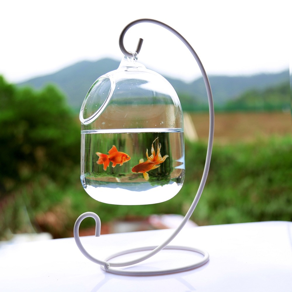 Hanging Glass Fish Bowl Home Decor