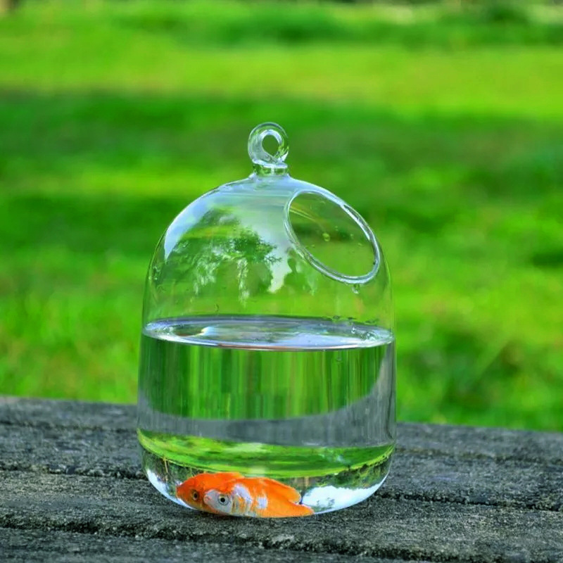 Hanging Glass Fish Bowl Home Decor